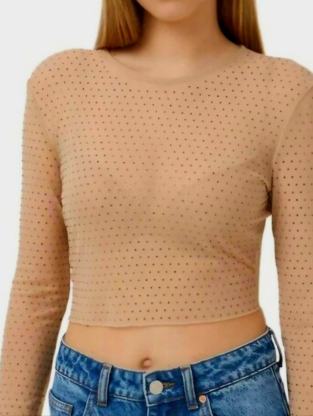 Terranova Sheer Dot-Detail Long-Sleeve Crop Top in Beige